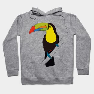 TUCAN CUTE BIRD PARADICE COLORFUL FEATHERS Hoodie